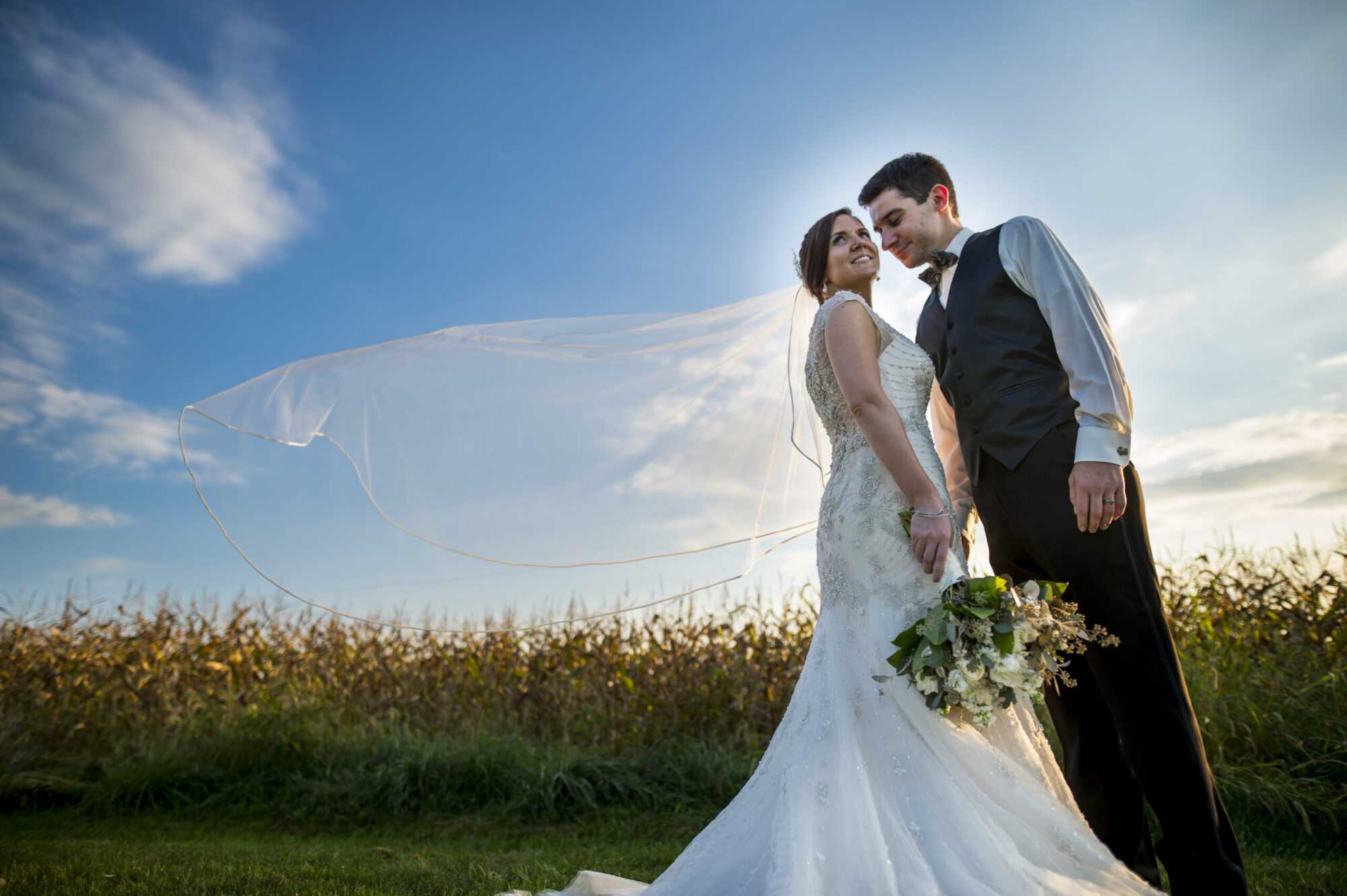 A bride and groom posing together on their wedding day in front of a corn field. The bride's vail hangs in the air behind her. Family and wedding photography in Pittsburgh.
